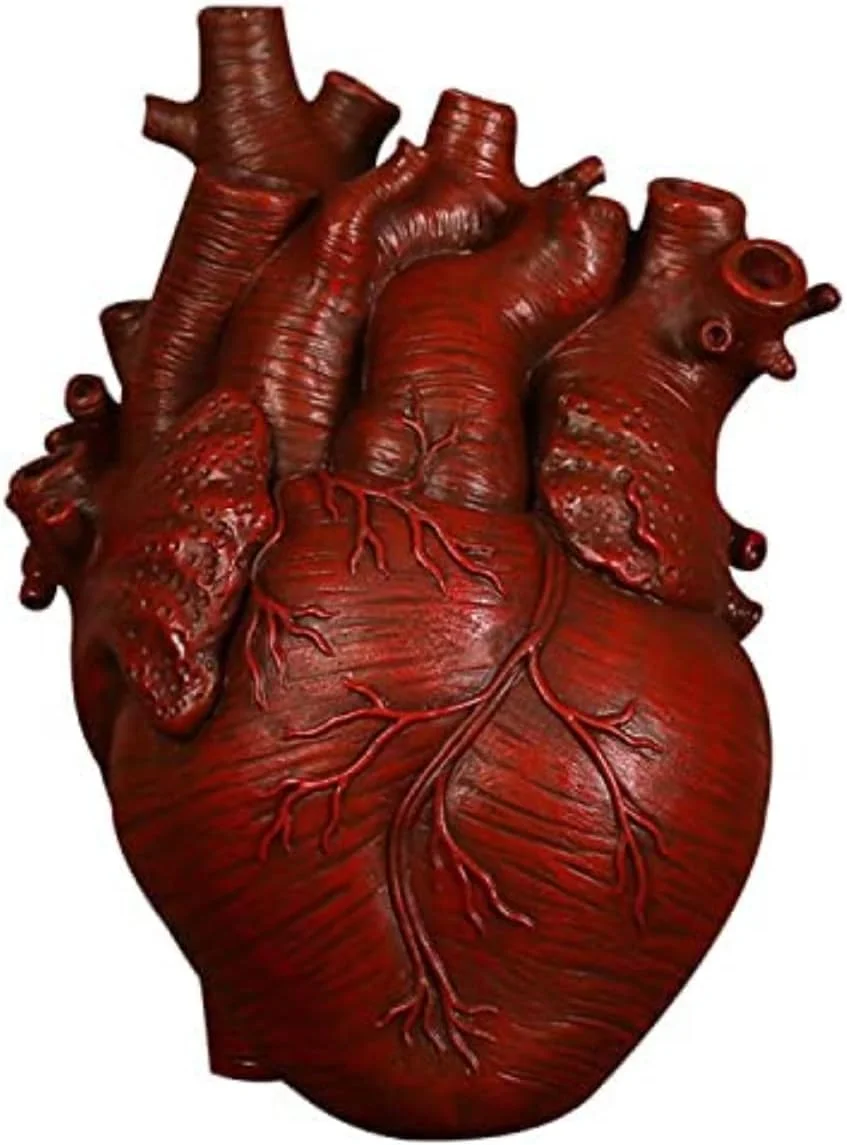Red resin planter shaped like an anatomical human heart