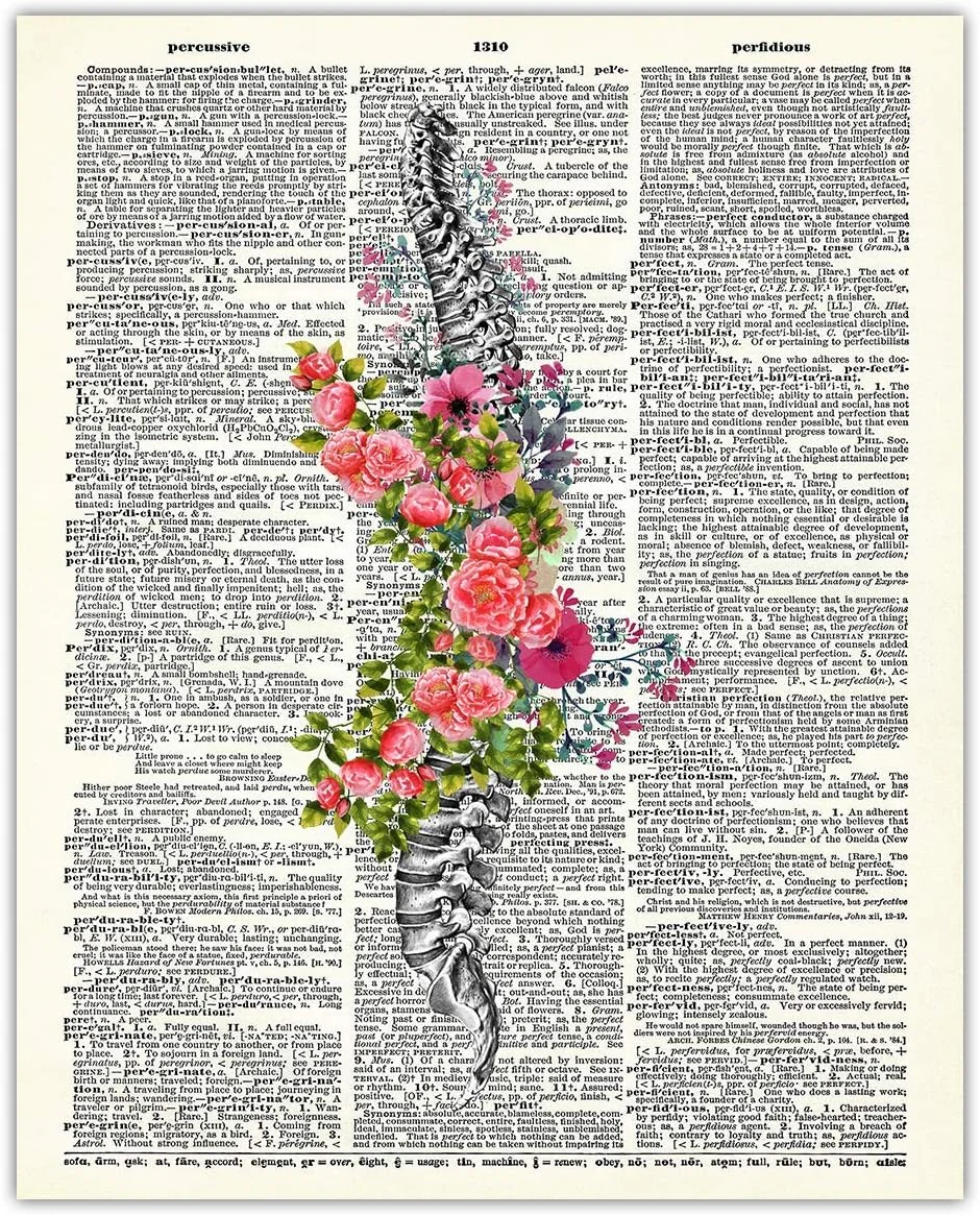 Anatomical spine illustration with vintage floral pattern
