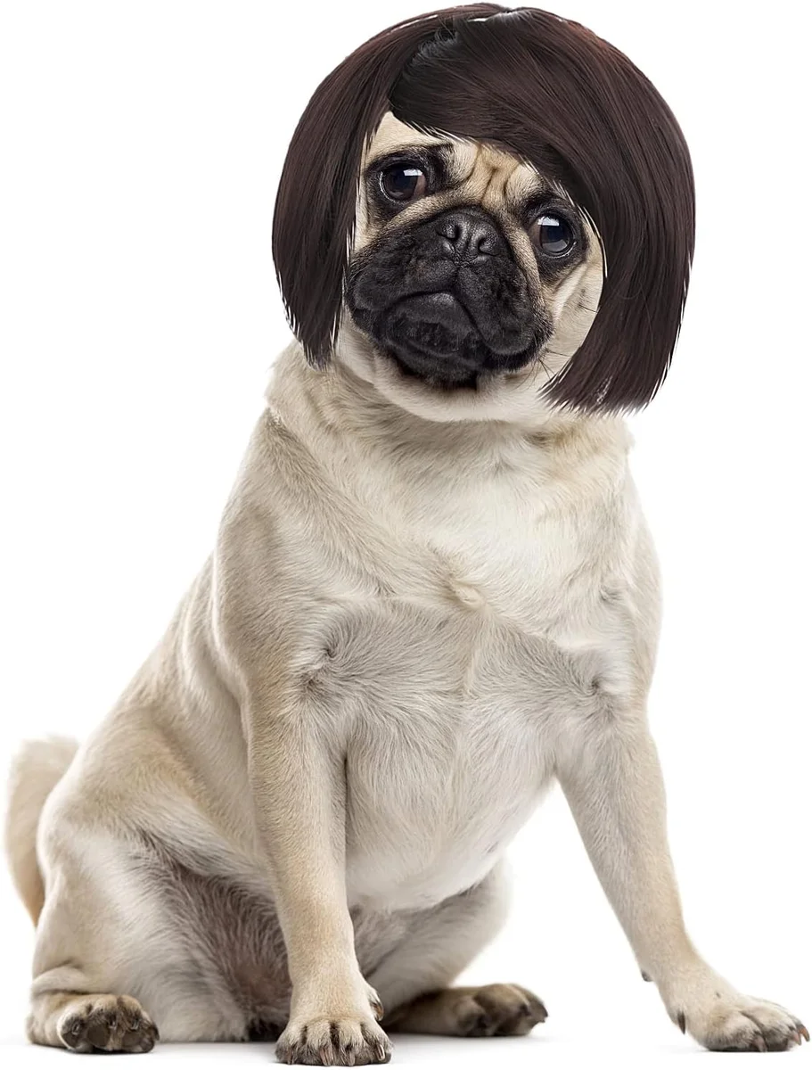 Funny dog cat cosplay wig in bright colors