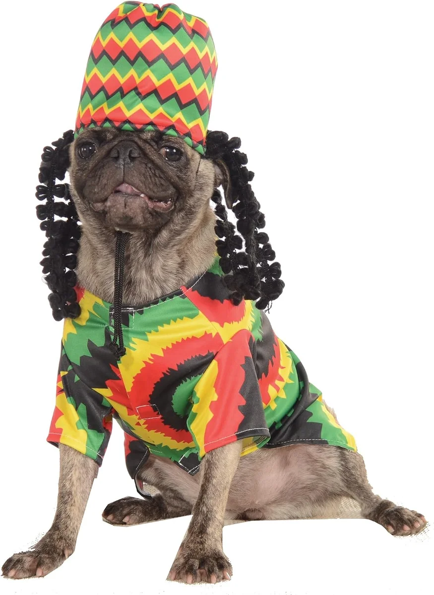 Pizza slice costume worn by a dog