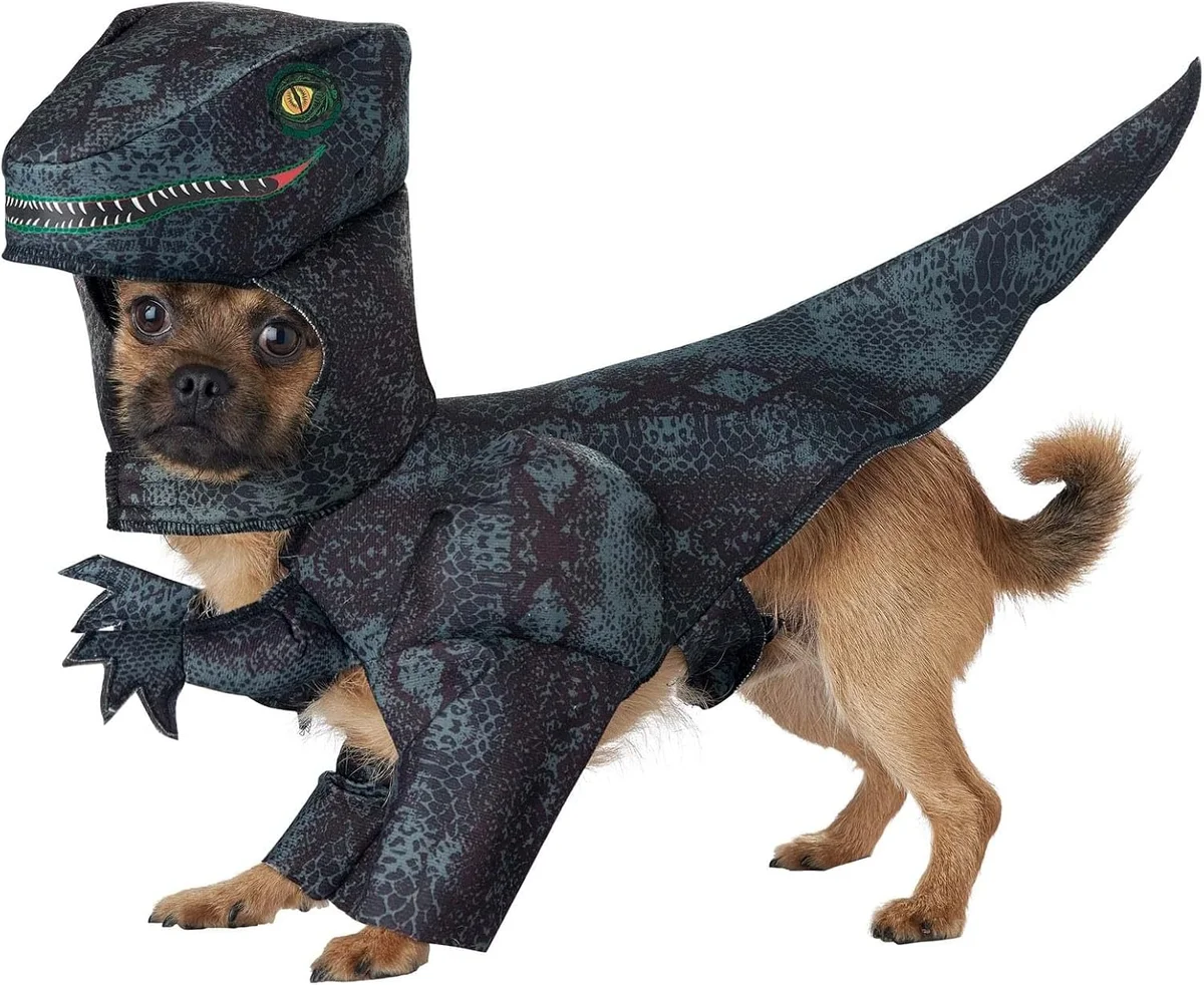 Dog wearing a gray dinosaur T-Rex costume with back spikes and horns