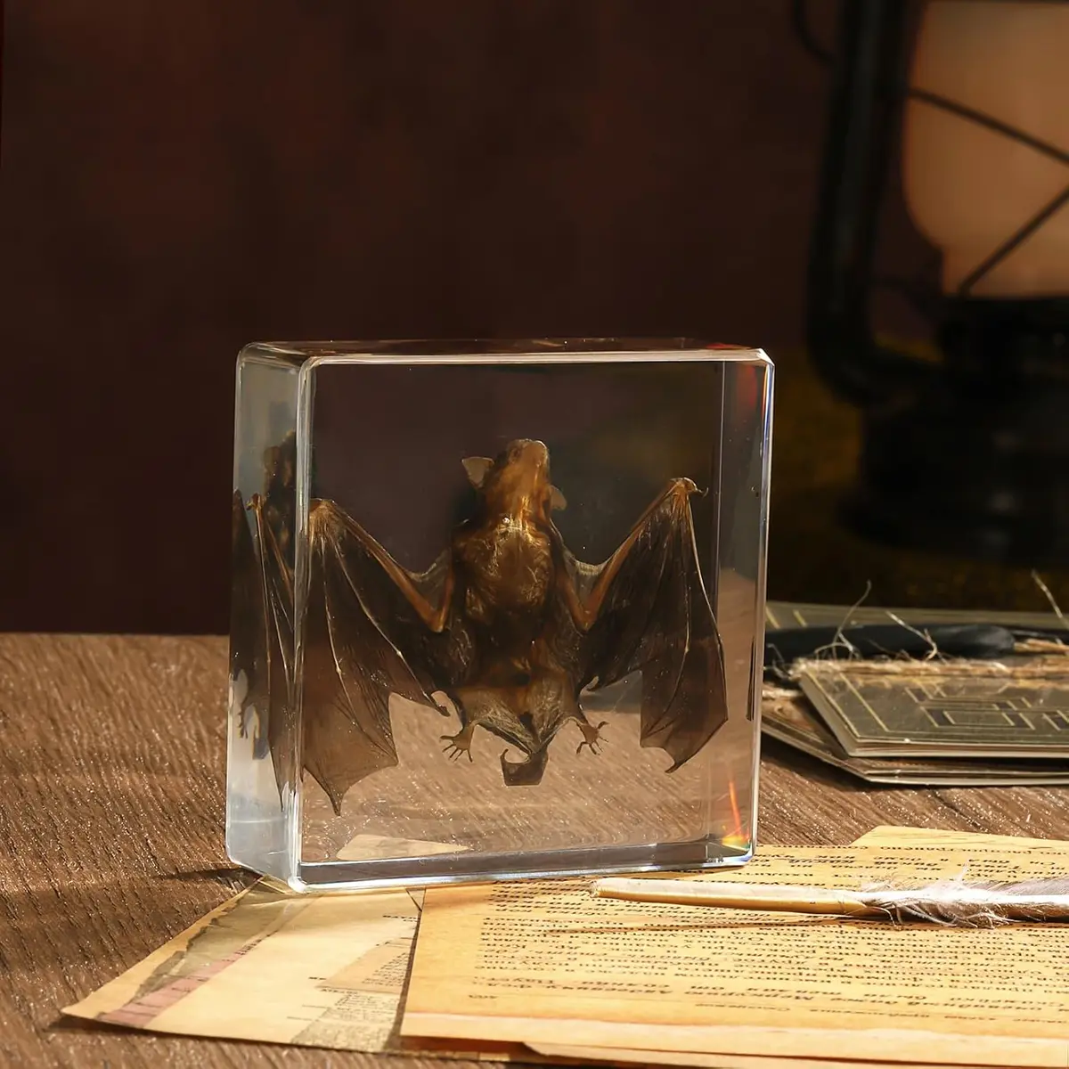 Real bat specimen preserved in clear resin block