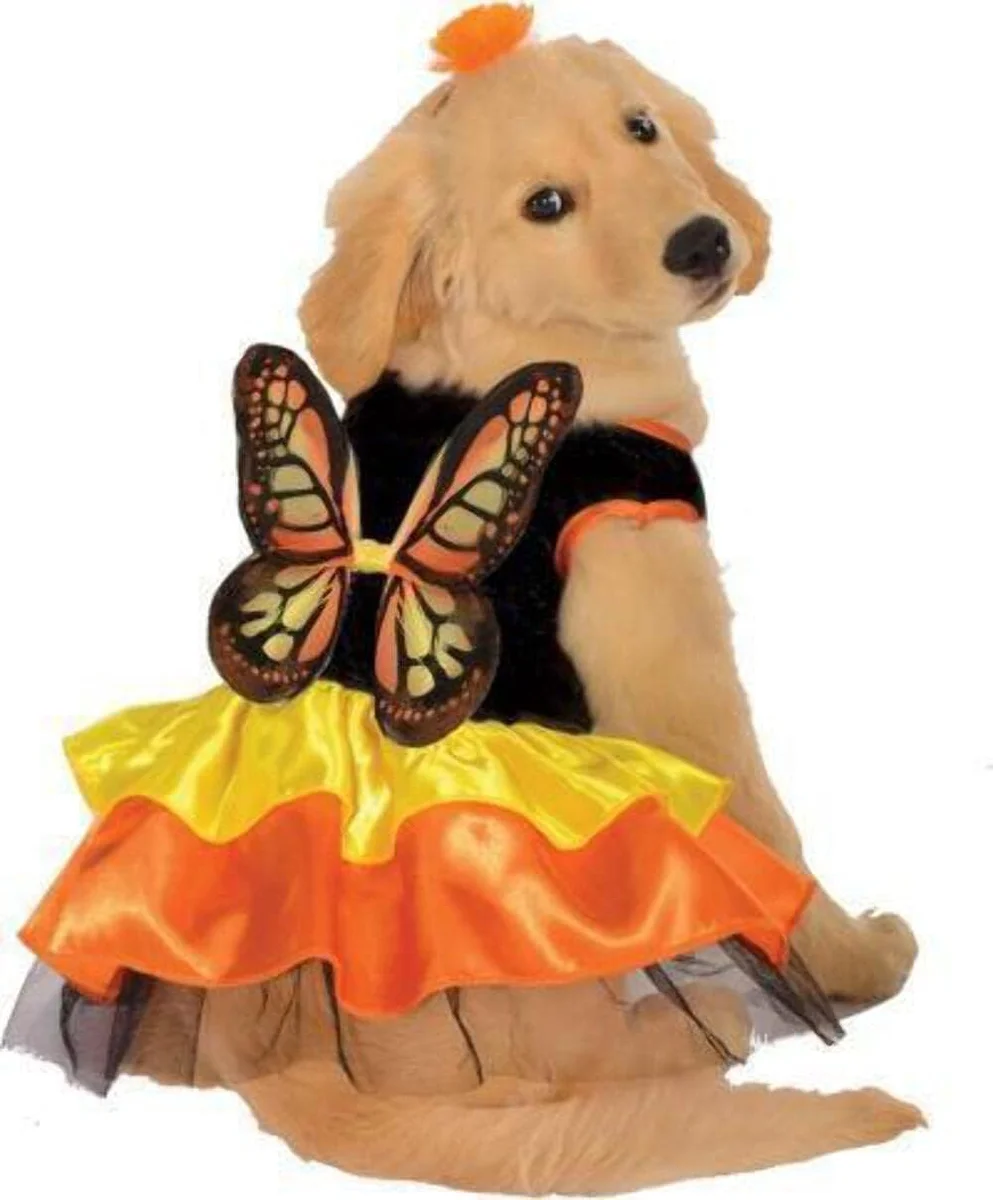 Rubies Monarch Butterfly pet costume featuring a pair of large orange, black, and white monarch butterfly wings attached to a fabric harness that fastens around a dog or cat's torso, sized large